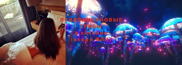 крисы Кодинск