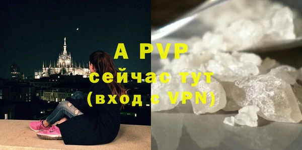 крисы Кодинск