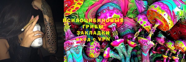 дурь Козельск