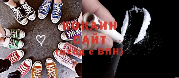 крисы Кодинск